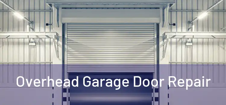 Overhead Garage Door Repair